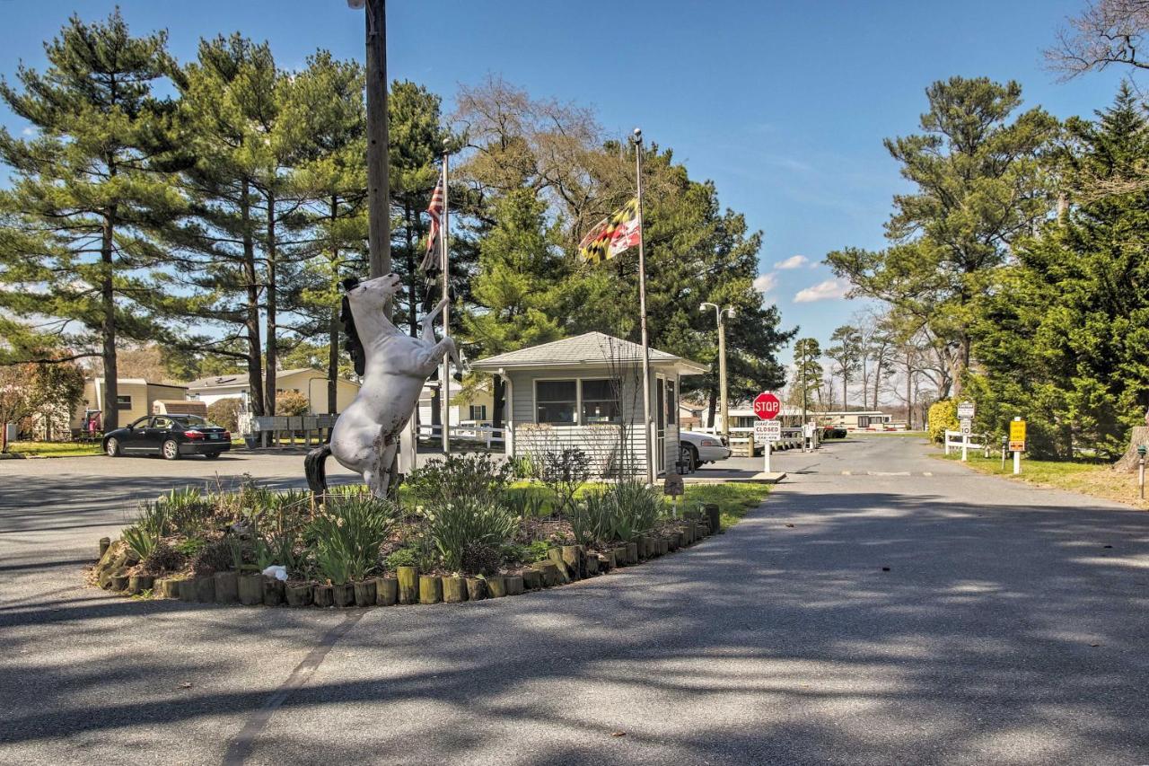 Dog-Friendly Ocean Pines Home With Pool Access! Берлин Экстерьер фото